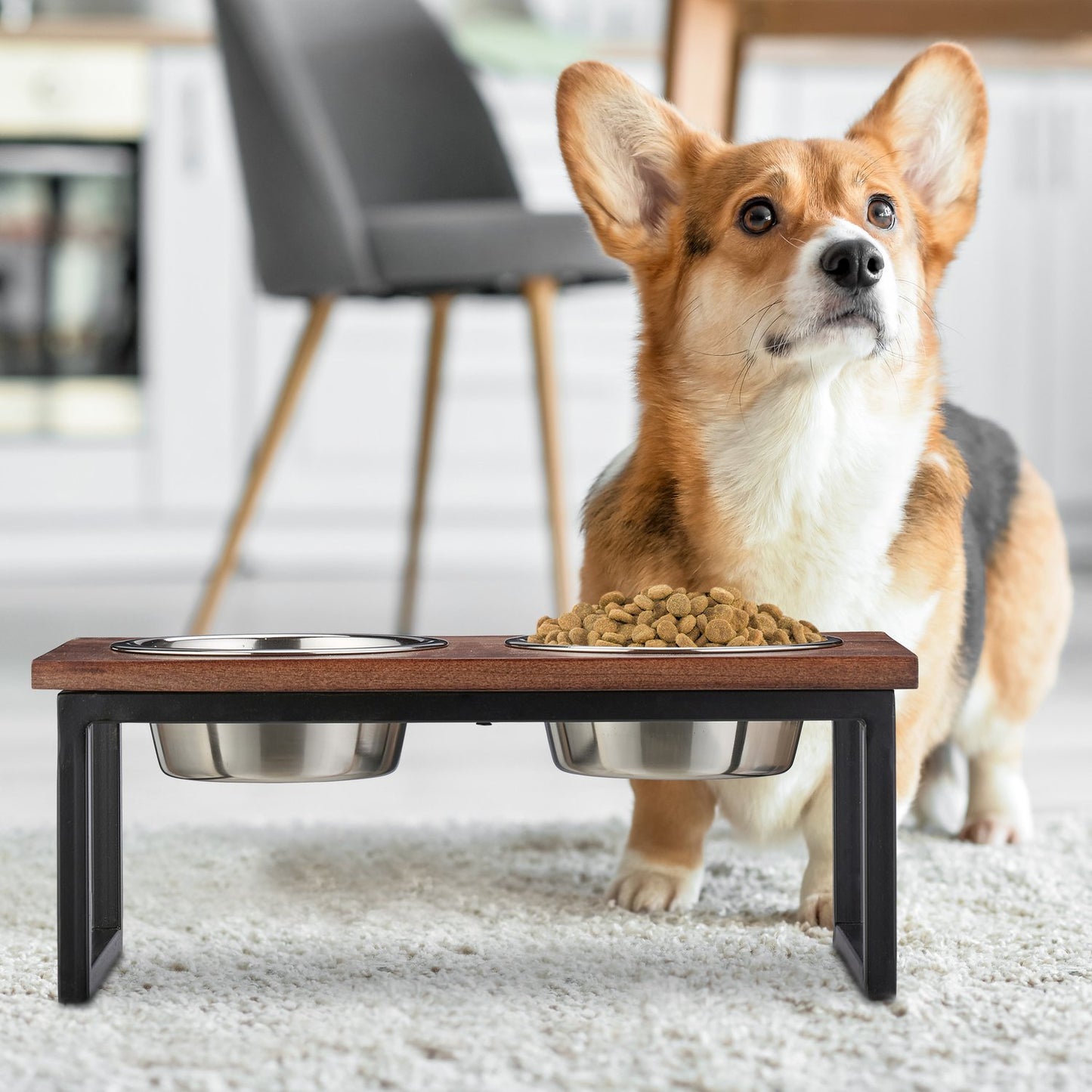 Raised dog bowl made from mango wood