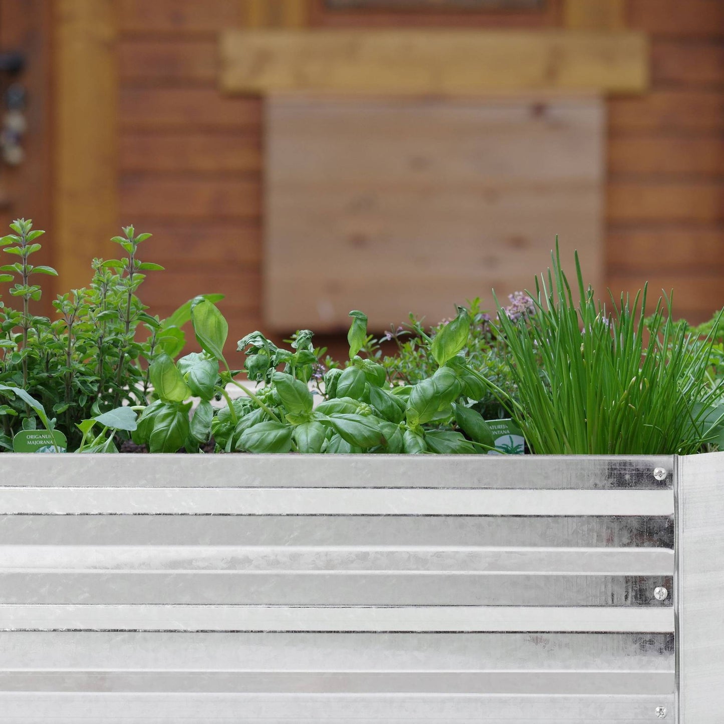 Raised metal bed