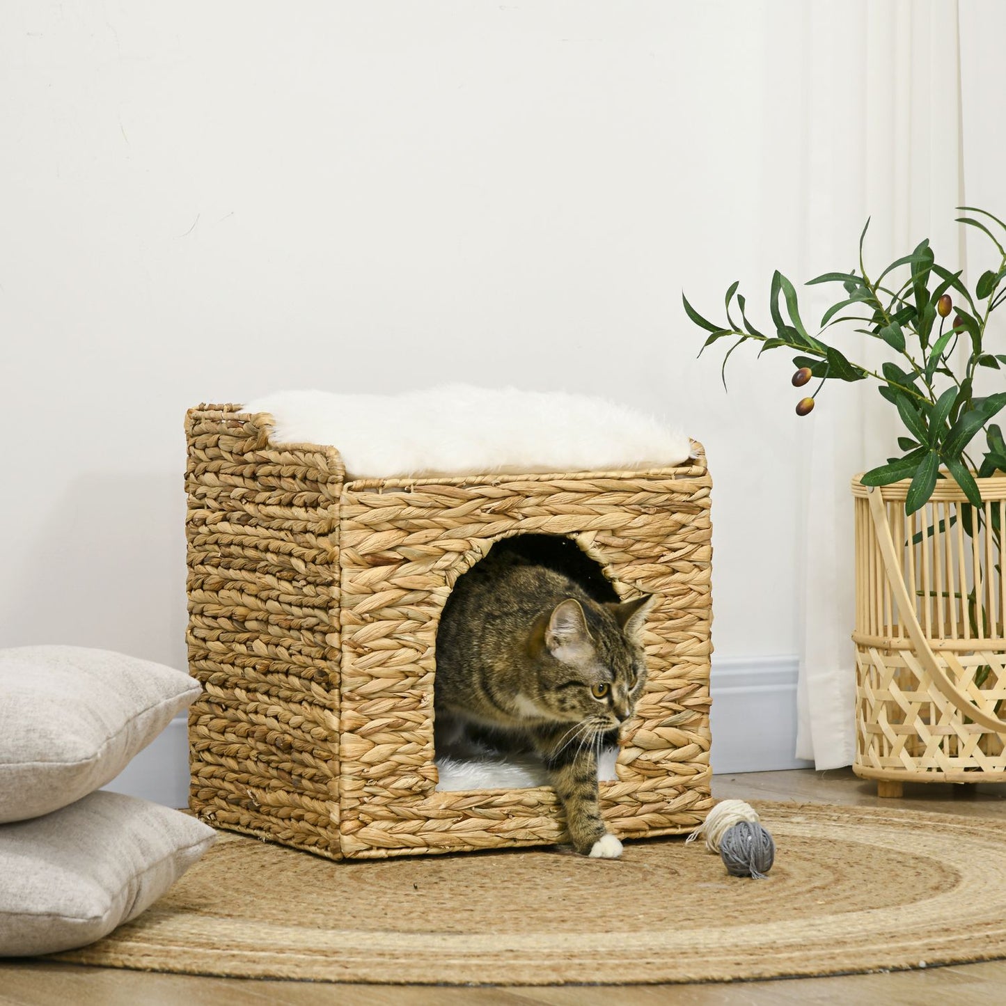 Rat size cave with cushion, 2 levels for cats up to 5 kg