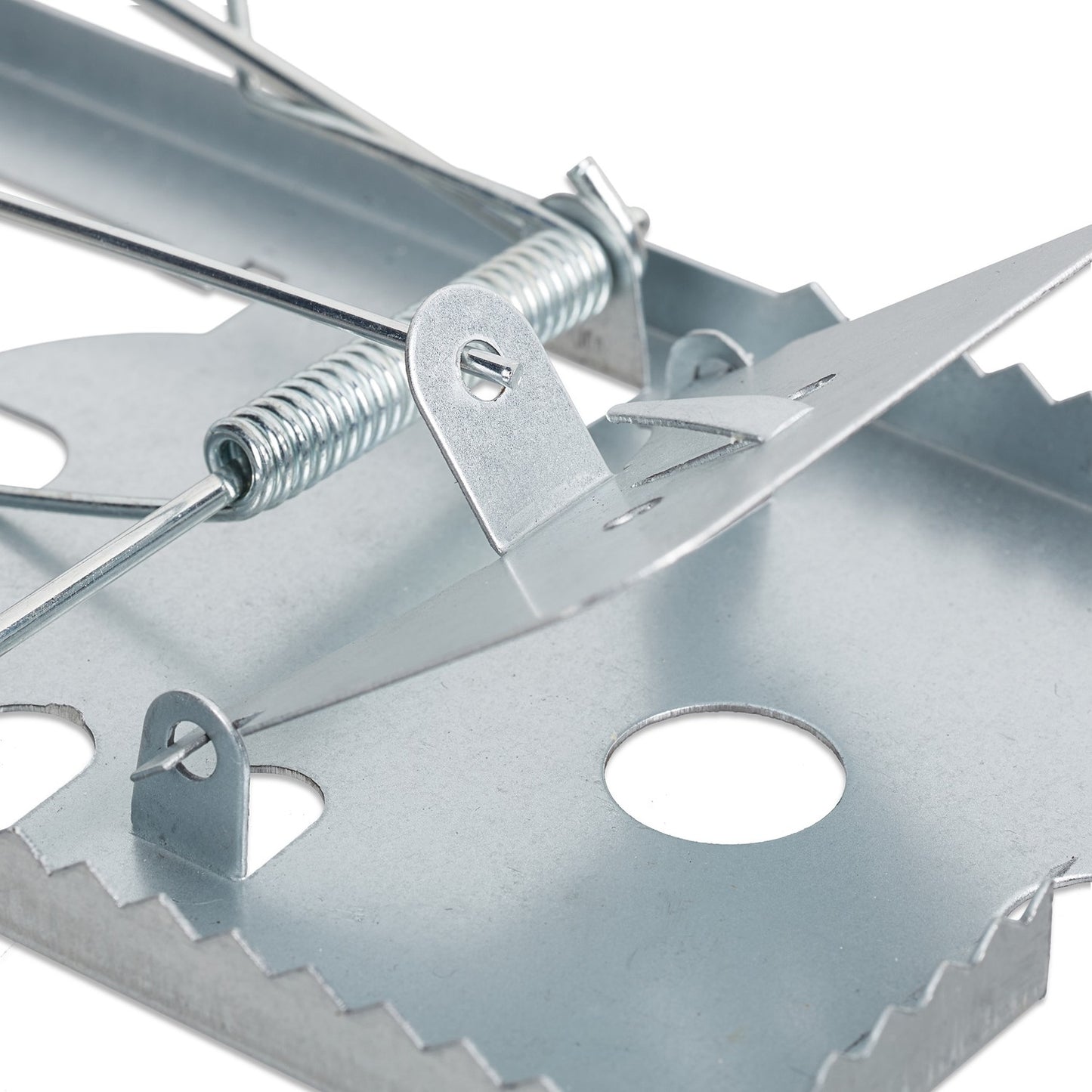 Rat trap set of 4