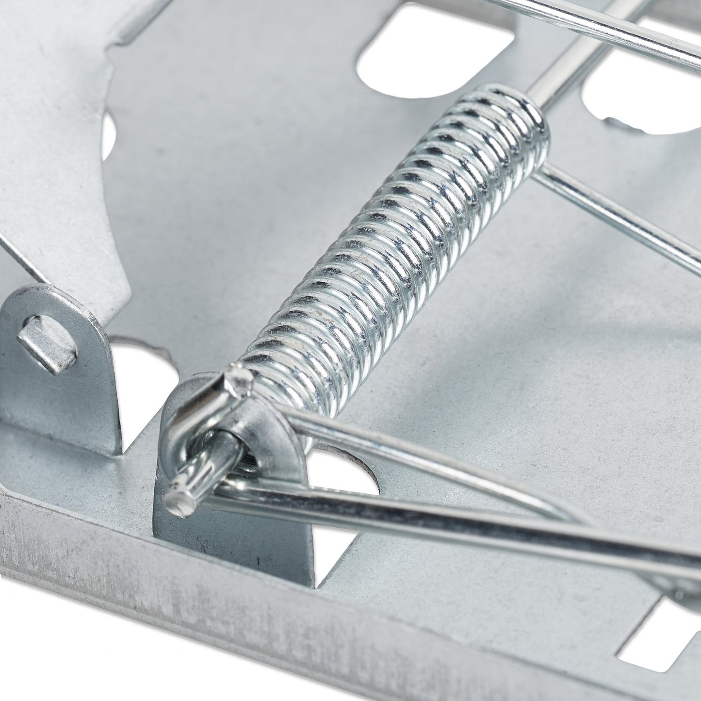 Rat trap set of 4