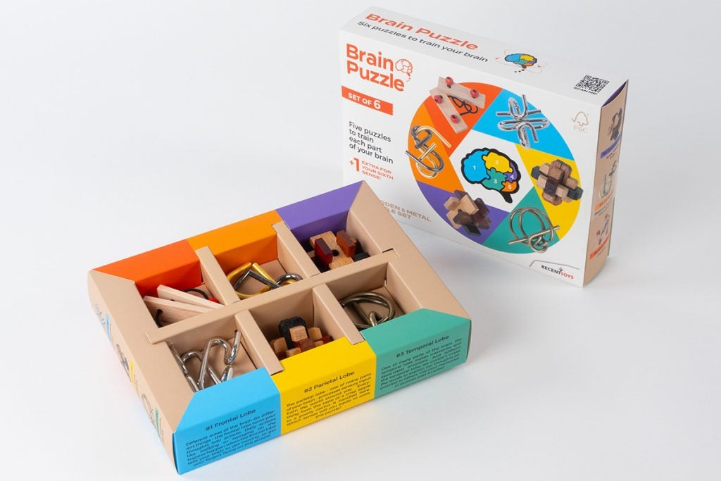 Recent Toys Brainteaser Brain Puzzle Set