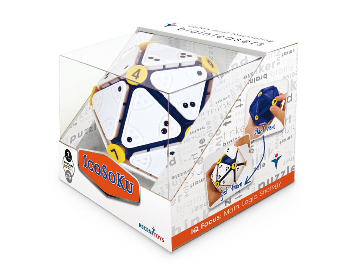 Recent Toys Logic Game Icosoku