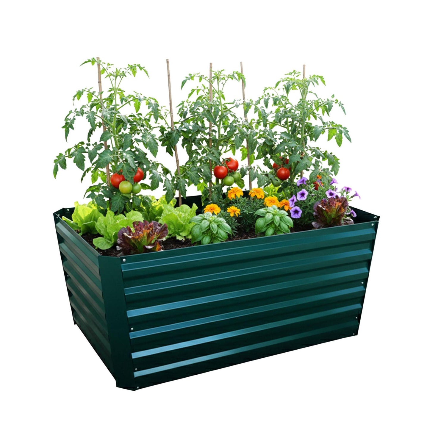 Rectangular Galvanized Metal Planter – Raised Garden Bed