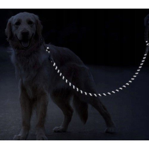 Reflective training leash 3m Purlov 21654
