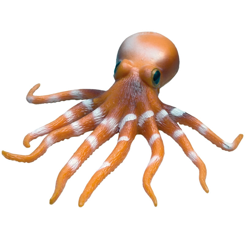 Rep Pals, Octopus