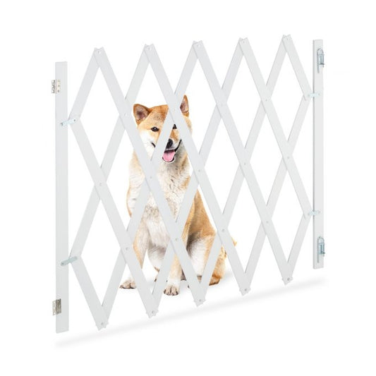 Retractable dog rail in white