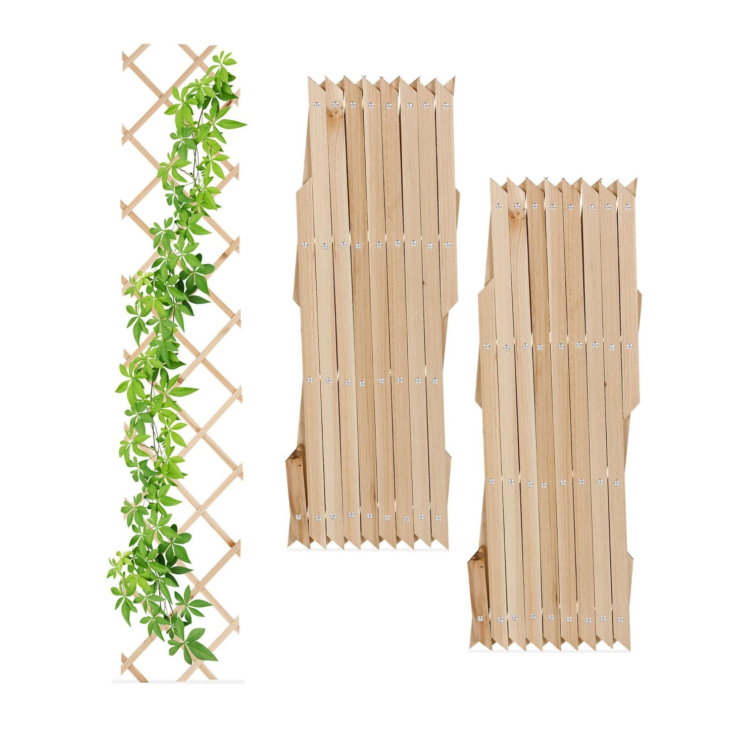 Retractable trellis in wood, set of 3