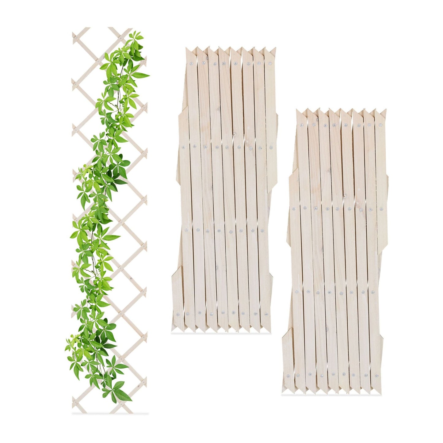 Retractable trellis in wood, set of 3