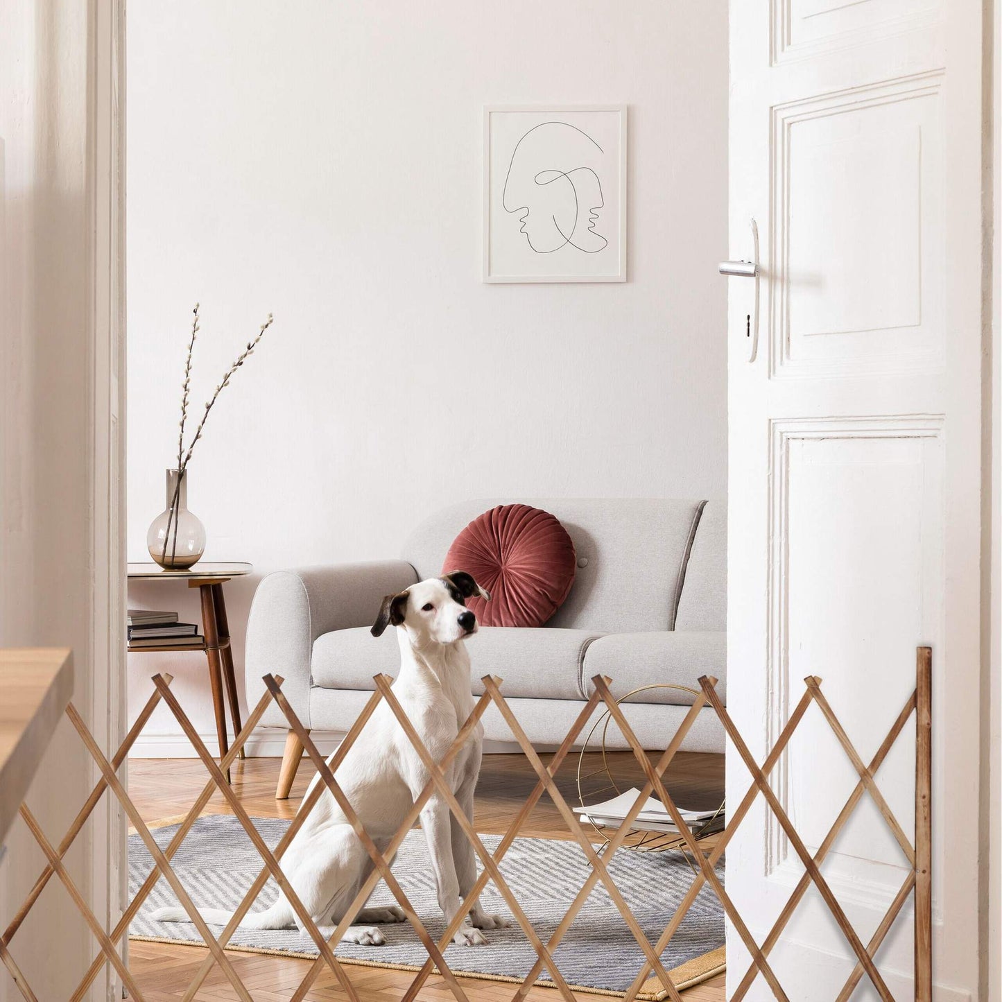 Retractable wooden trellis