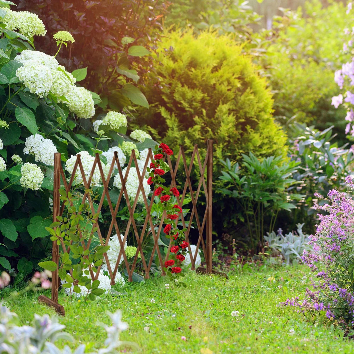 Retractable wooden trellis