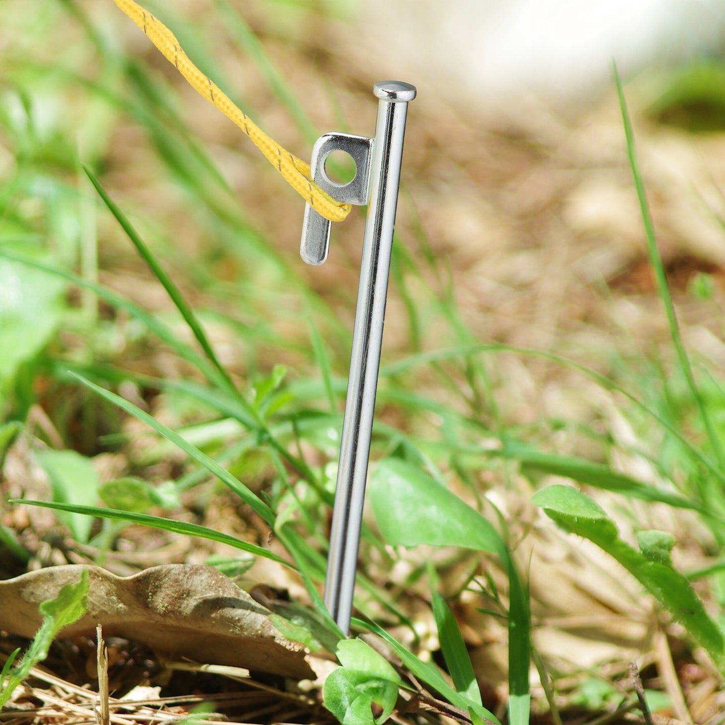Rock sticks in a set of 20