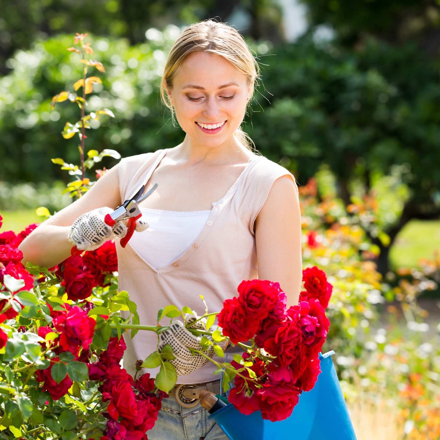 Rose arch with decor