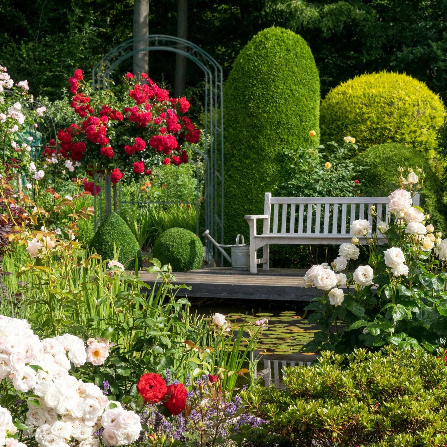 Rose arch with gate