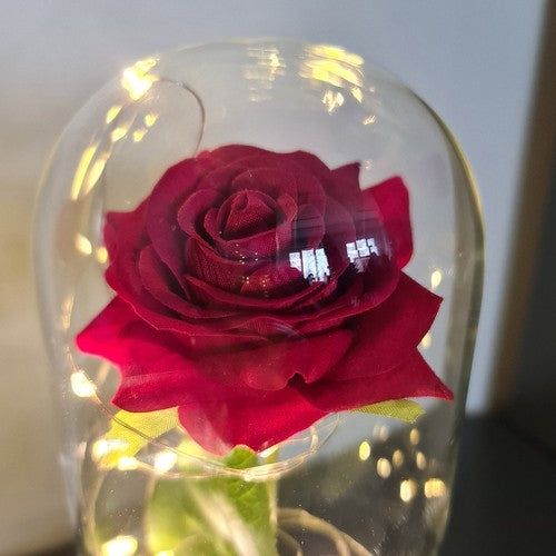 Rose in glass - glowing Malatec 21619