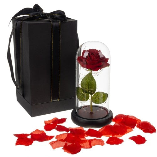 Rose in glass - glowing Malatec 21619