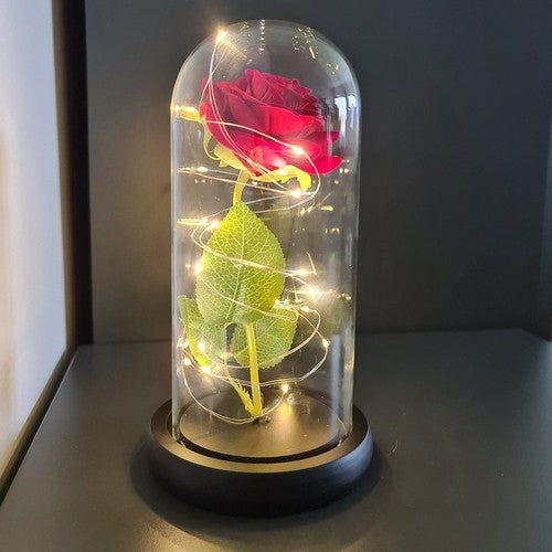 Rose in glass - glowing Malatec 21619