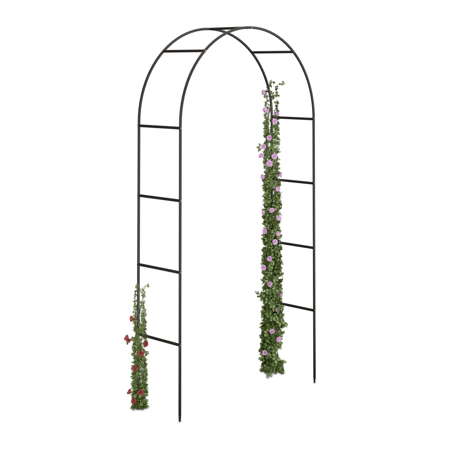 Rosenbåge garden 240 cm