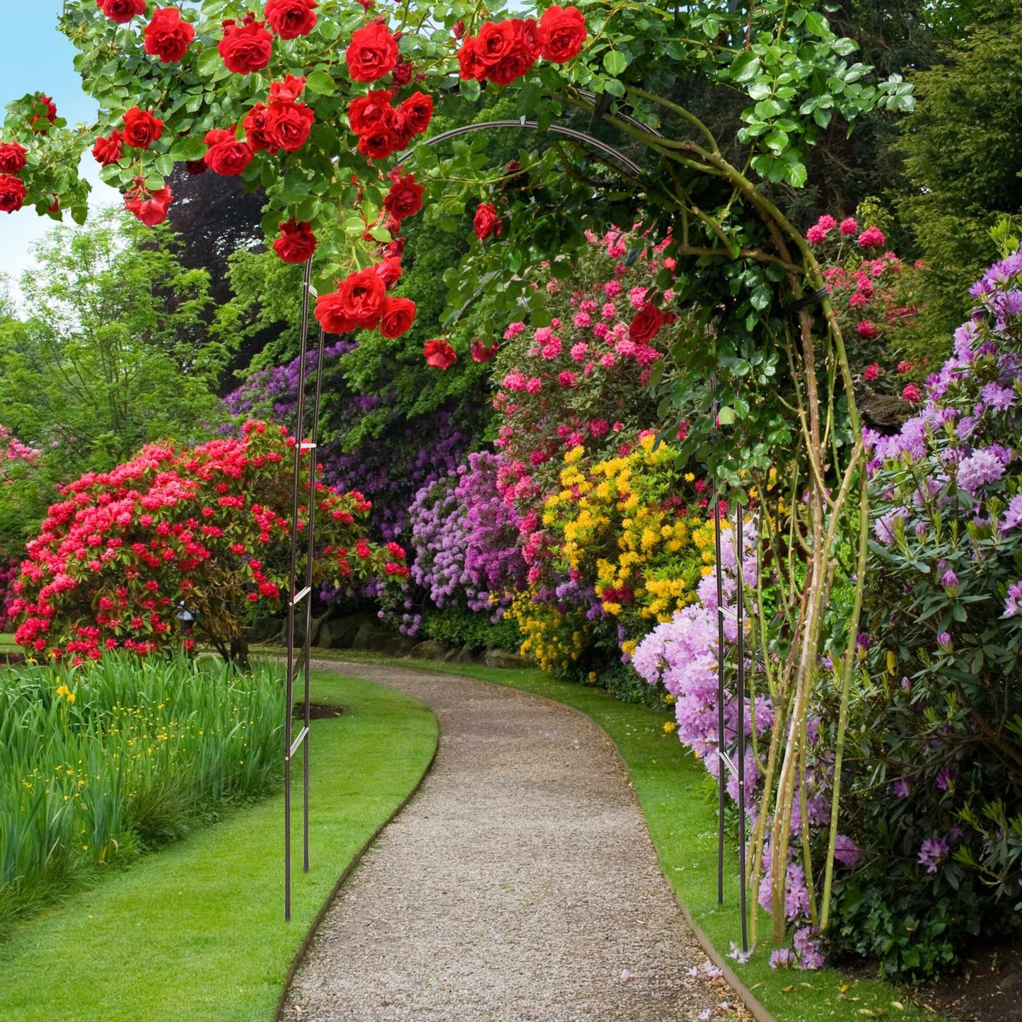 Rosenbåge garden 240 cm