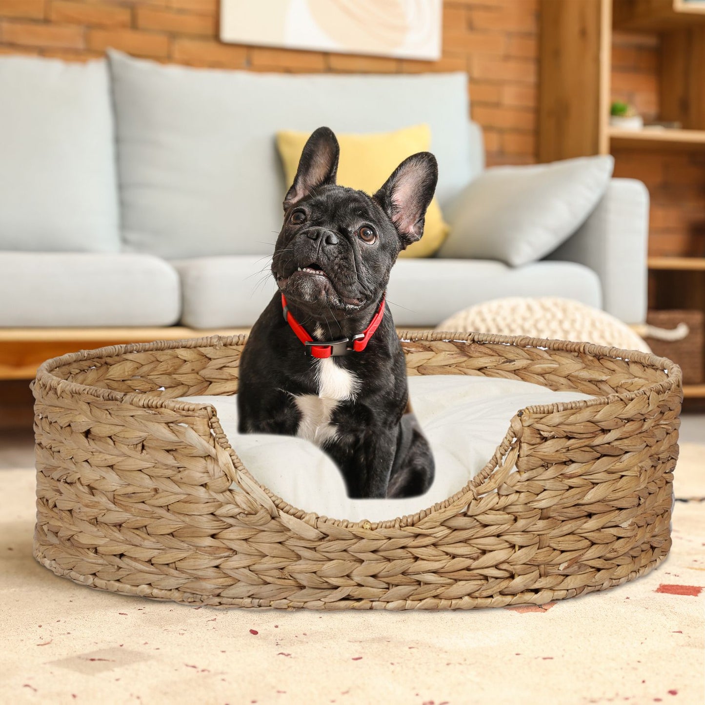 Round Seagrass Pet Bed for Dogs and Cats