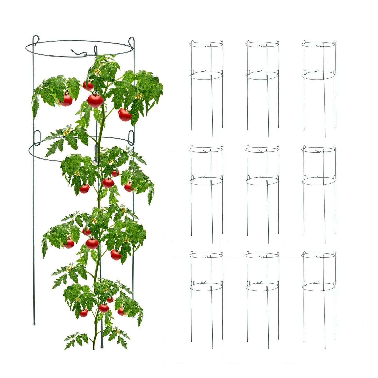 Round climbing supports in a set of 10