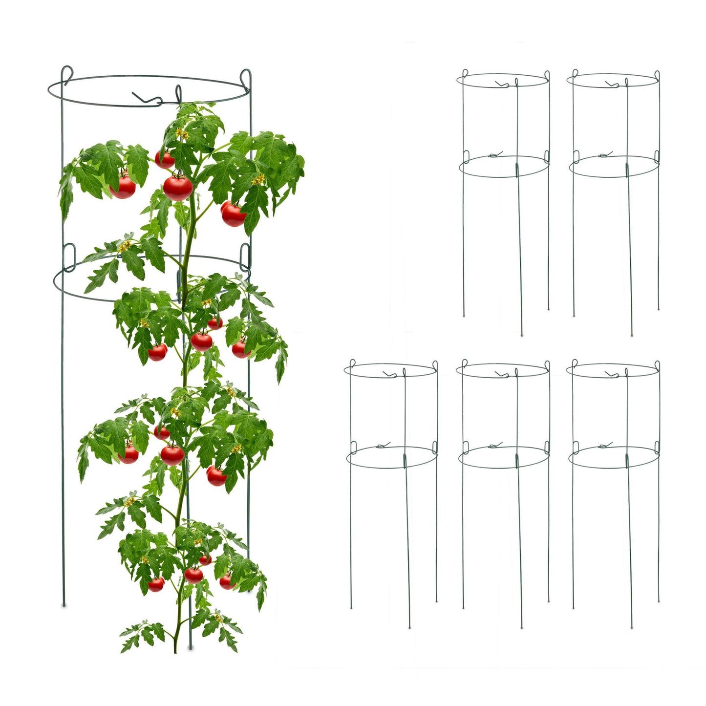 Round climbing supports in a set of 6