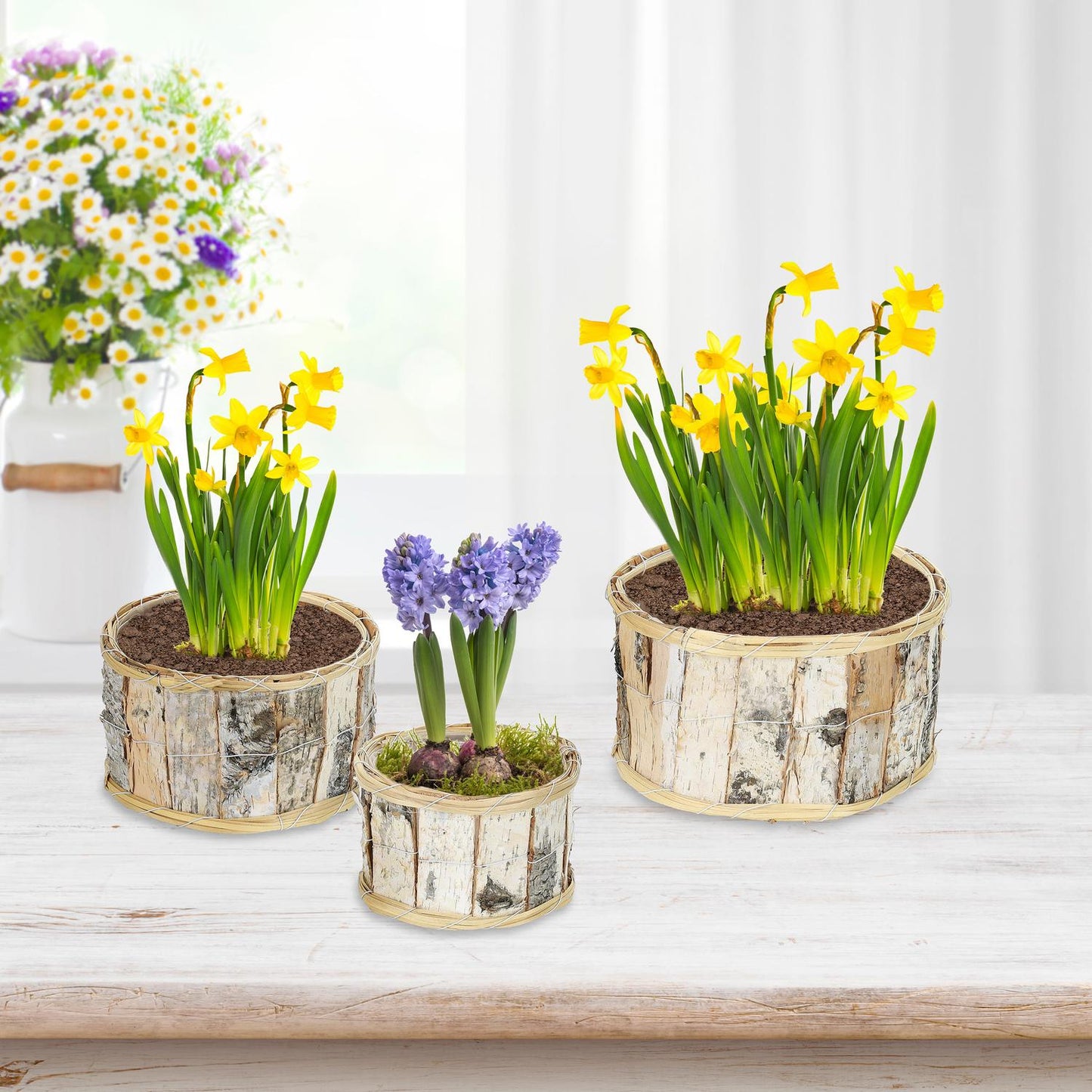 Round flower pot birch Set of 3