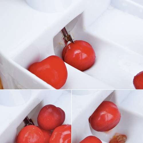 Ruhha cherry pitter 20623