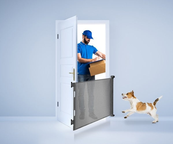 Ruhhy 19381 door security gate