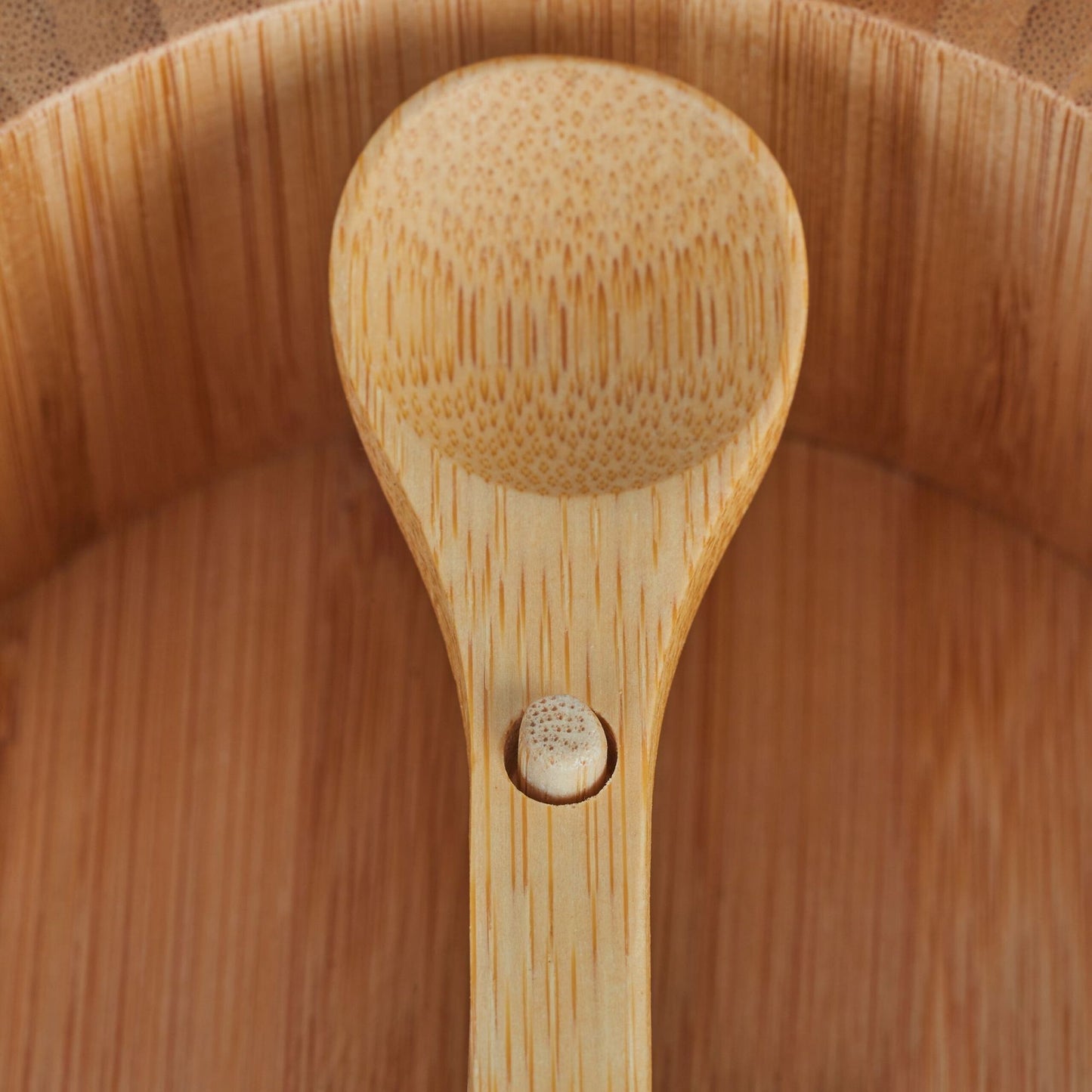 Salt container with lid