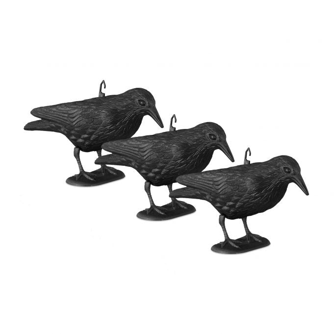Scarecrow Crow Set of 3