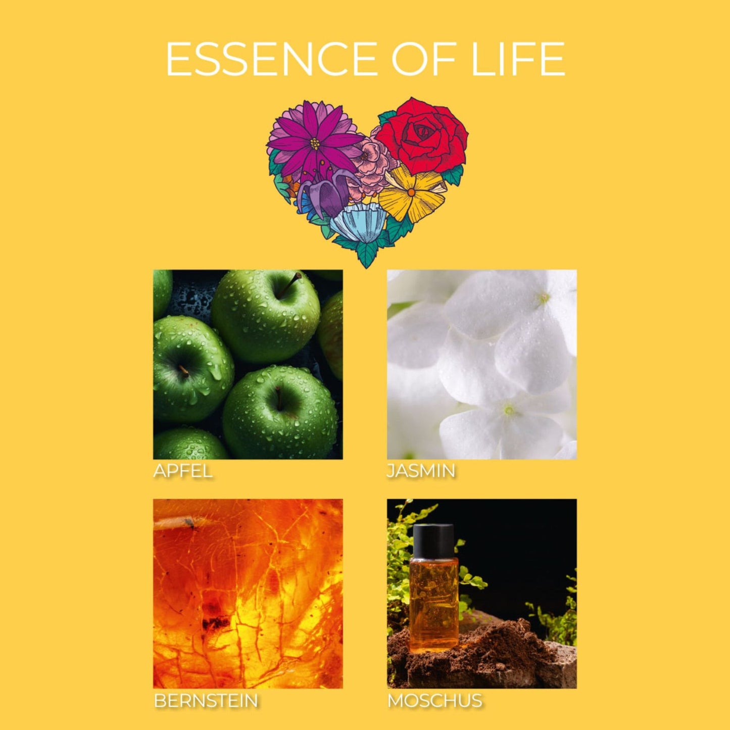 Scented Candle Trio – 3 Unique Fragrances, 3 x 70g