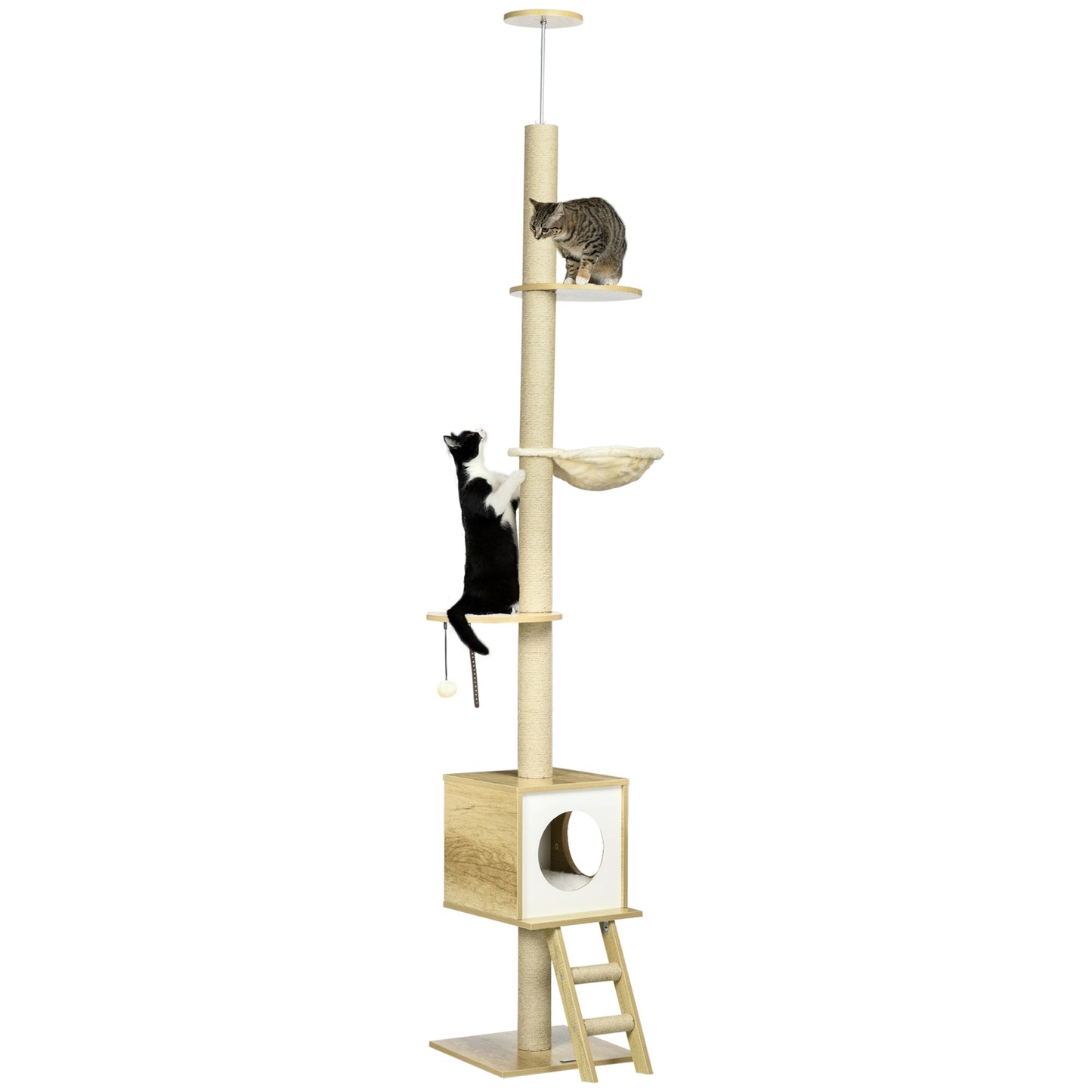 Cat scratching post with high ceiling with house and hammock