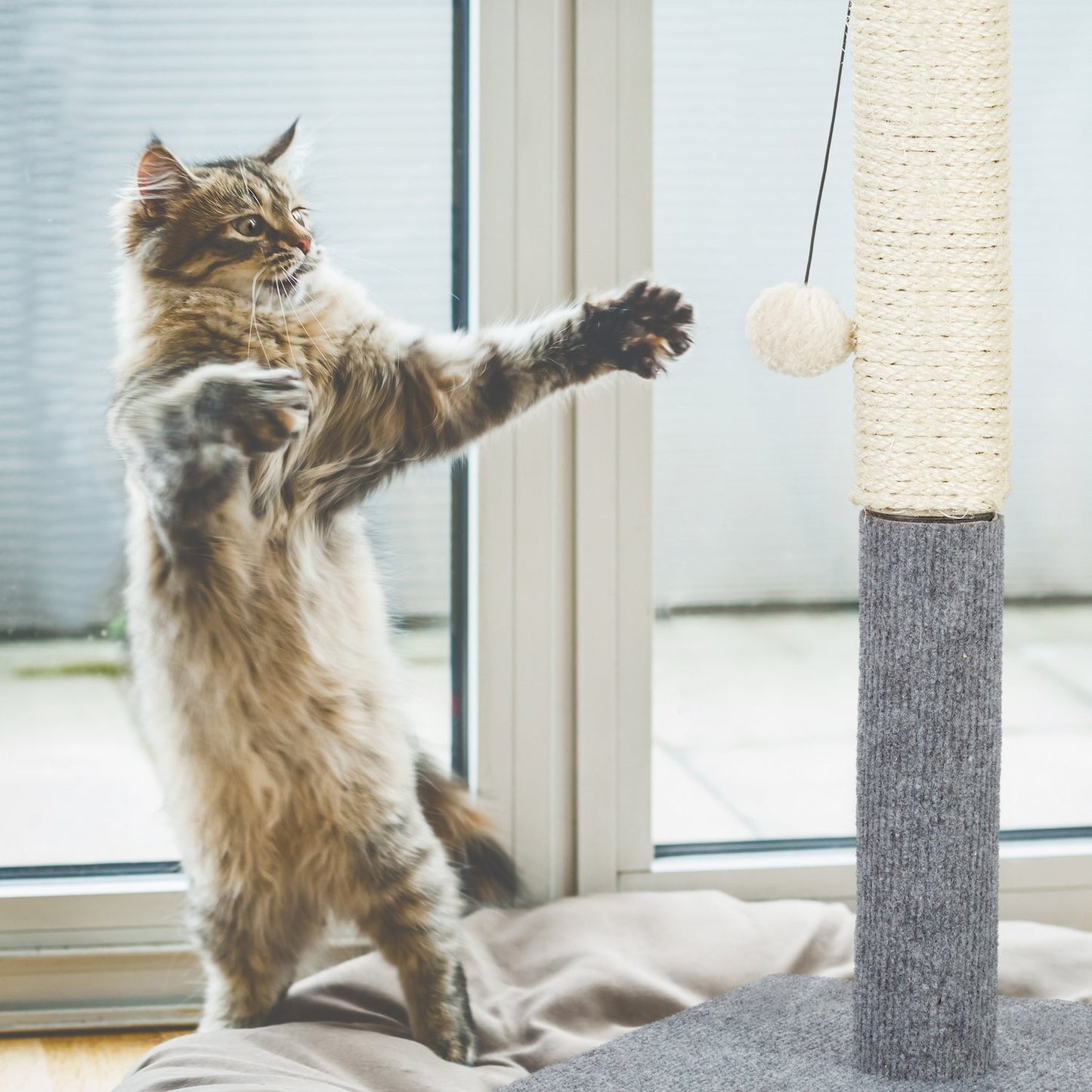 Scratching board for cats