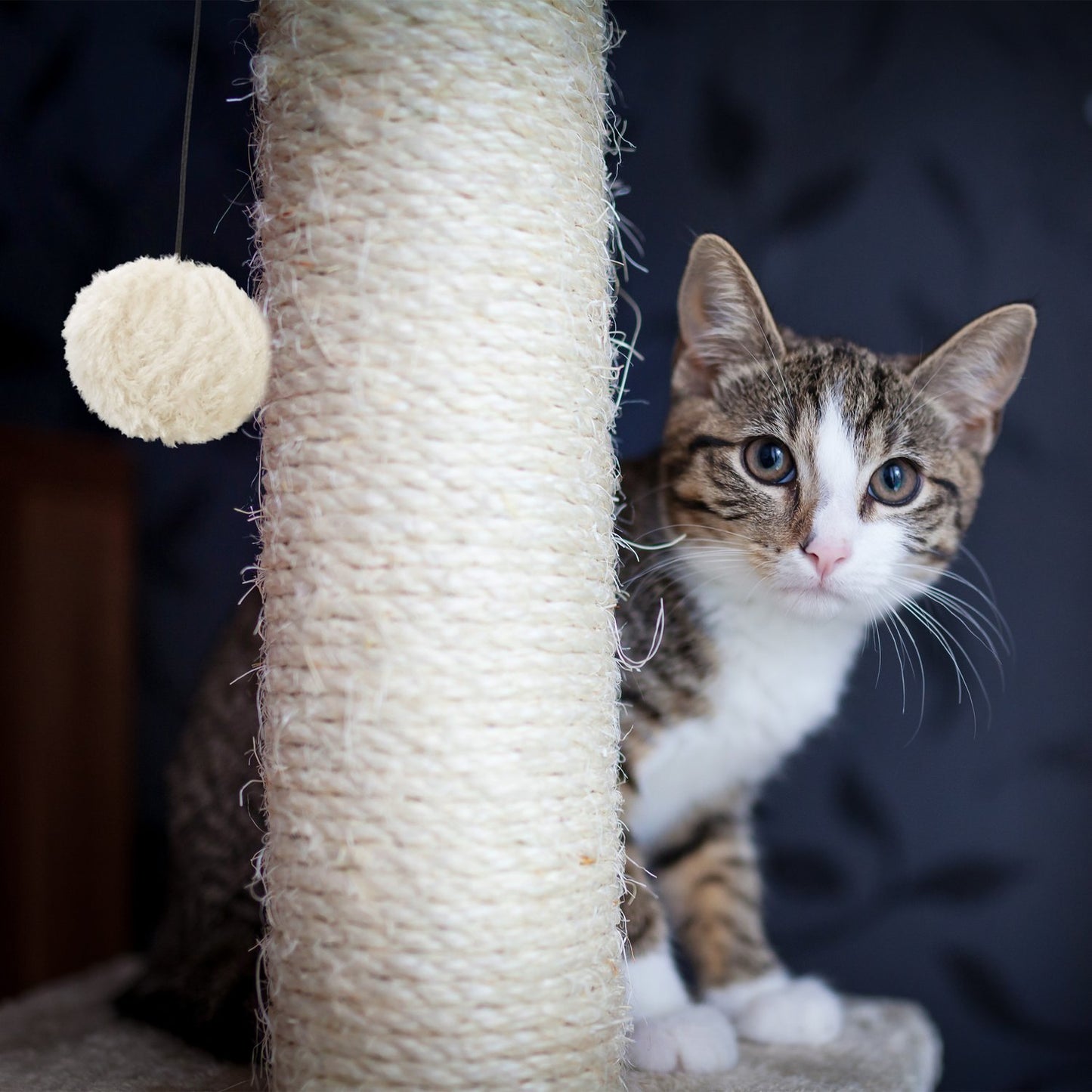 Scratching board for cats