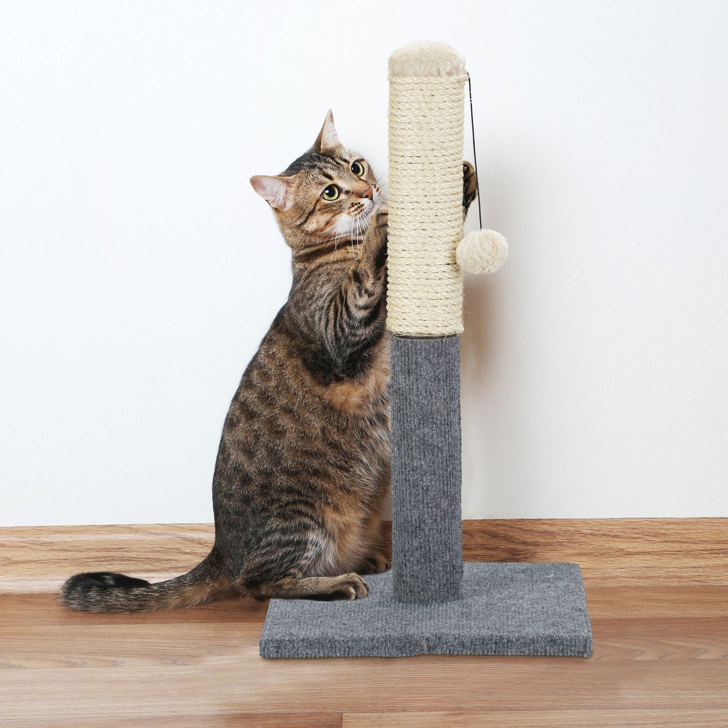 Scratching board for cats