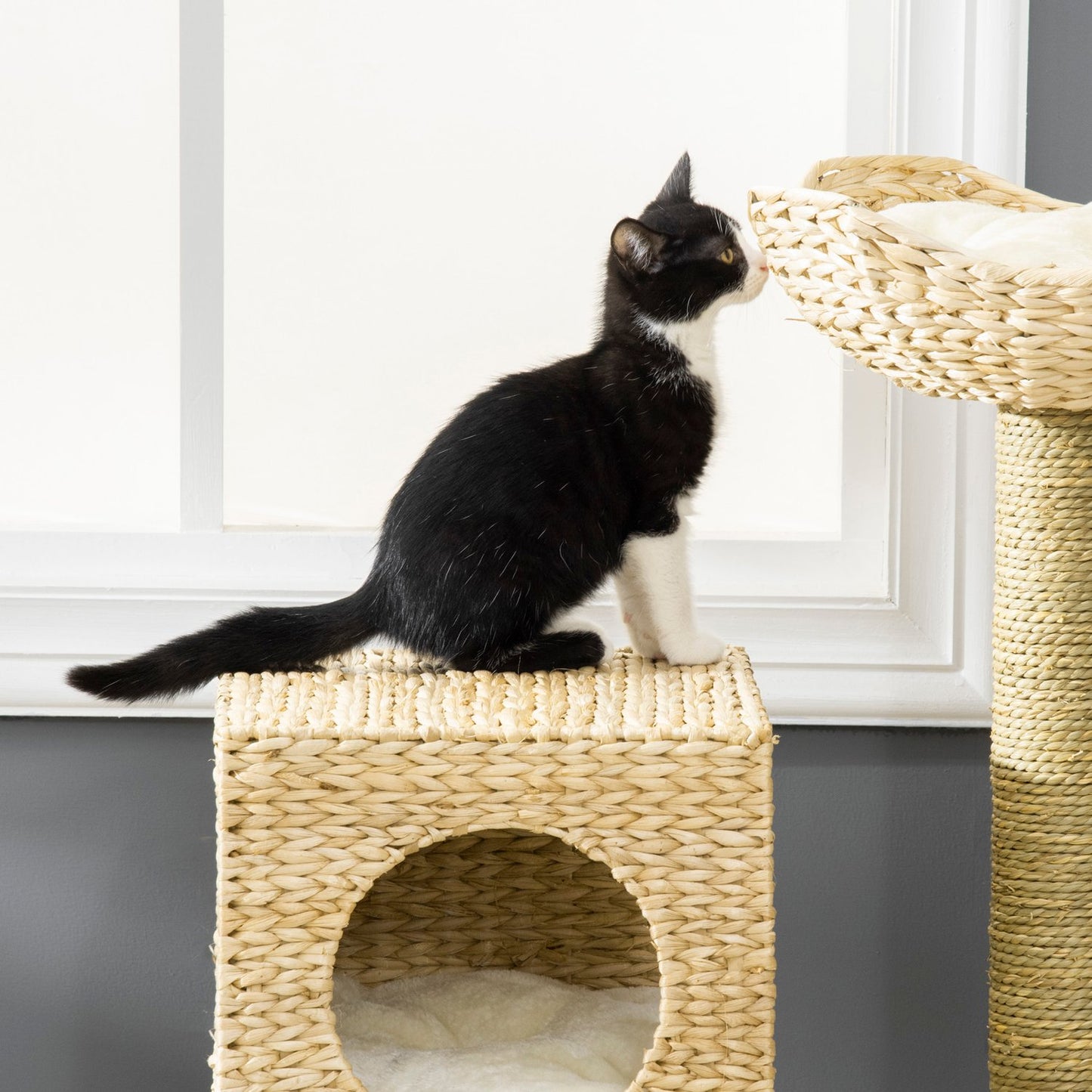 Cat tree with cave, bed, sisal poles and stairs