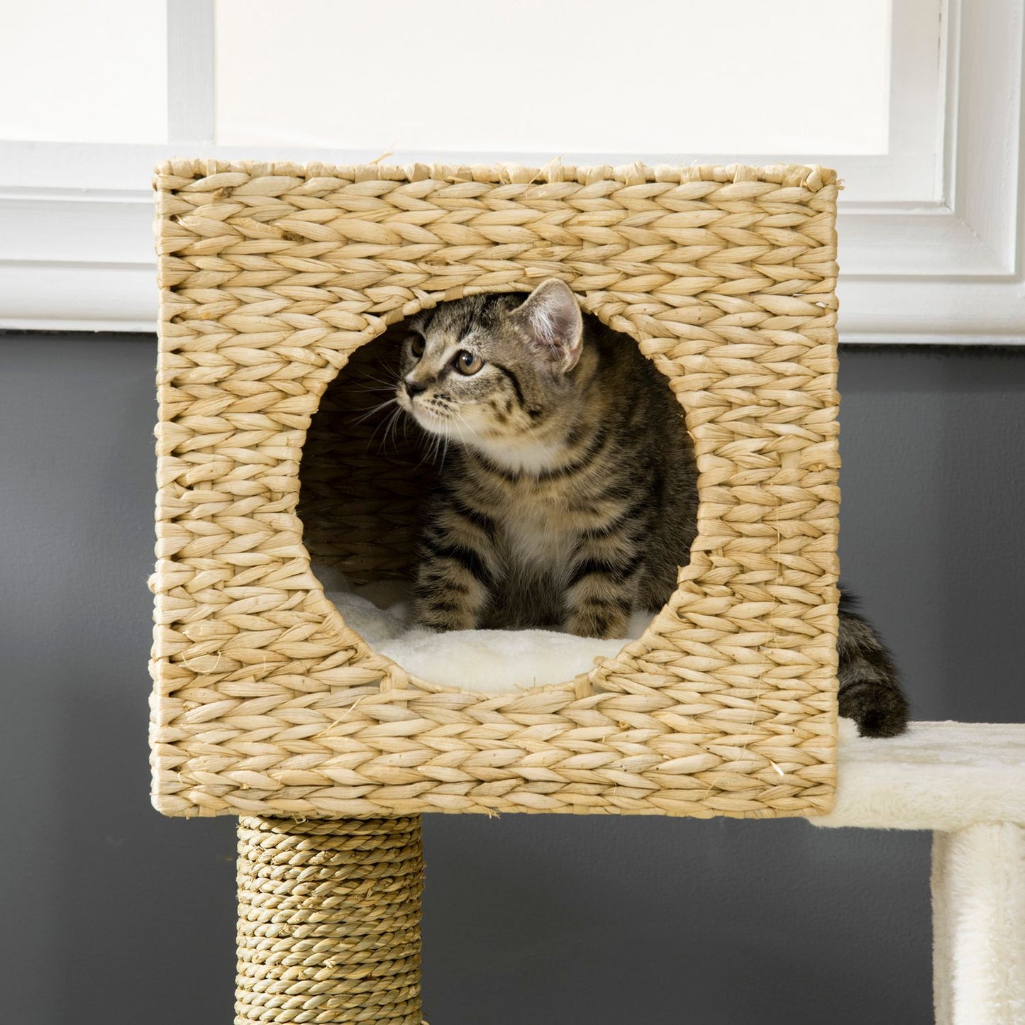 Cat tree with cave, bed, sisal poles and stairs