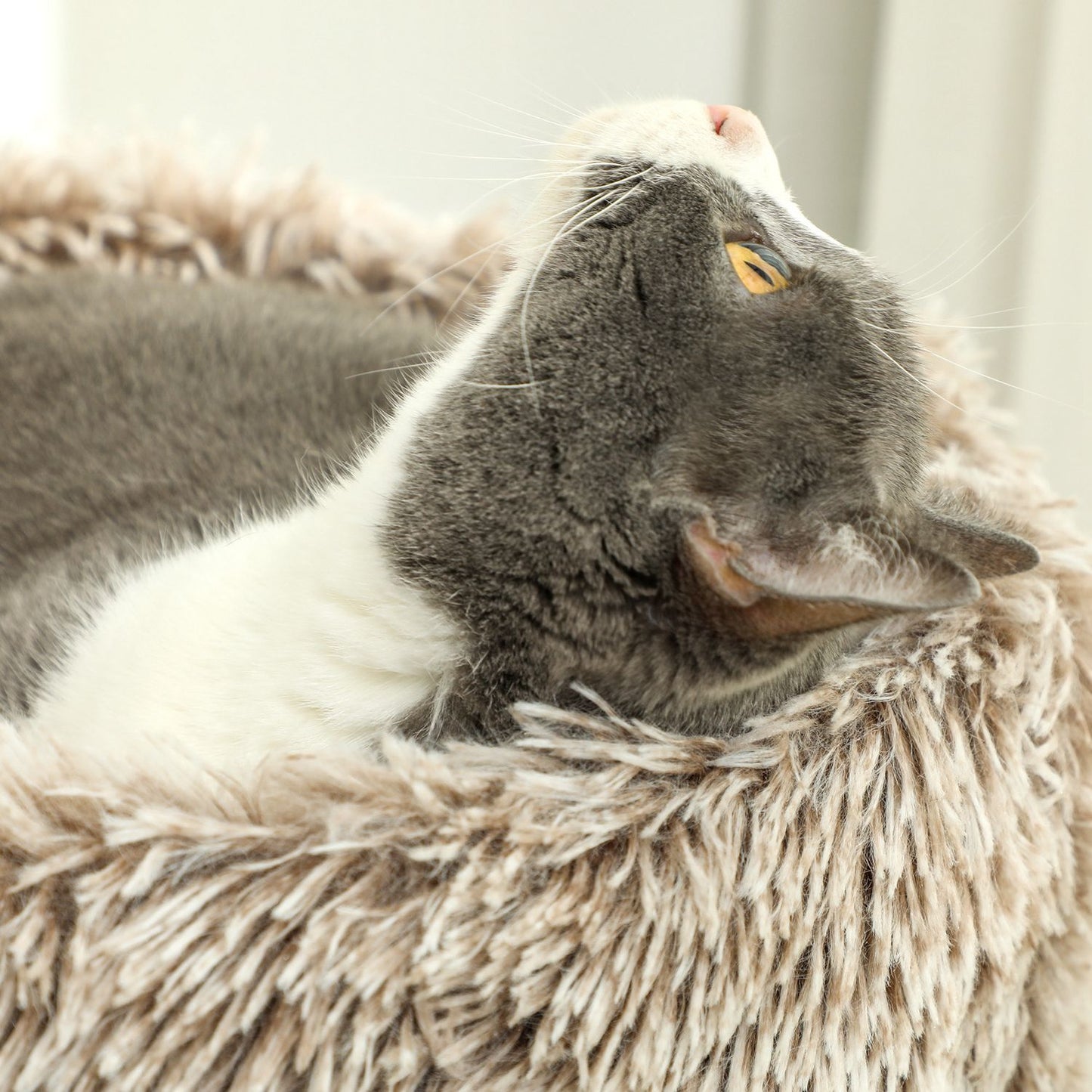 Cat tree with bed - 87 cm high, sisal, for cats up to 6 kg