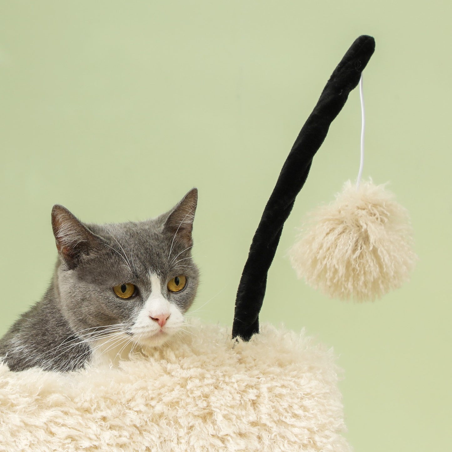 Cat tree with scratching post, tunnel, for cats up to 5 kg