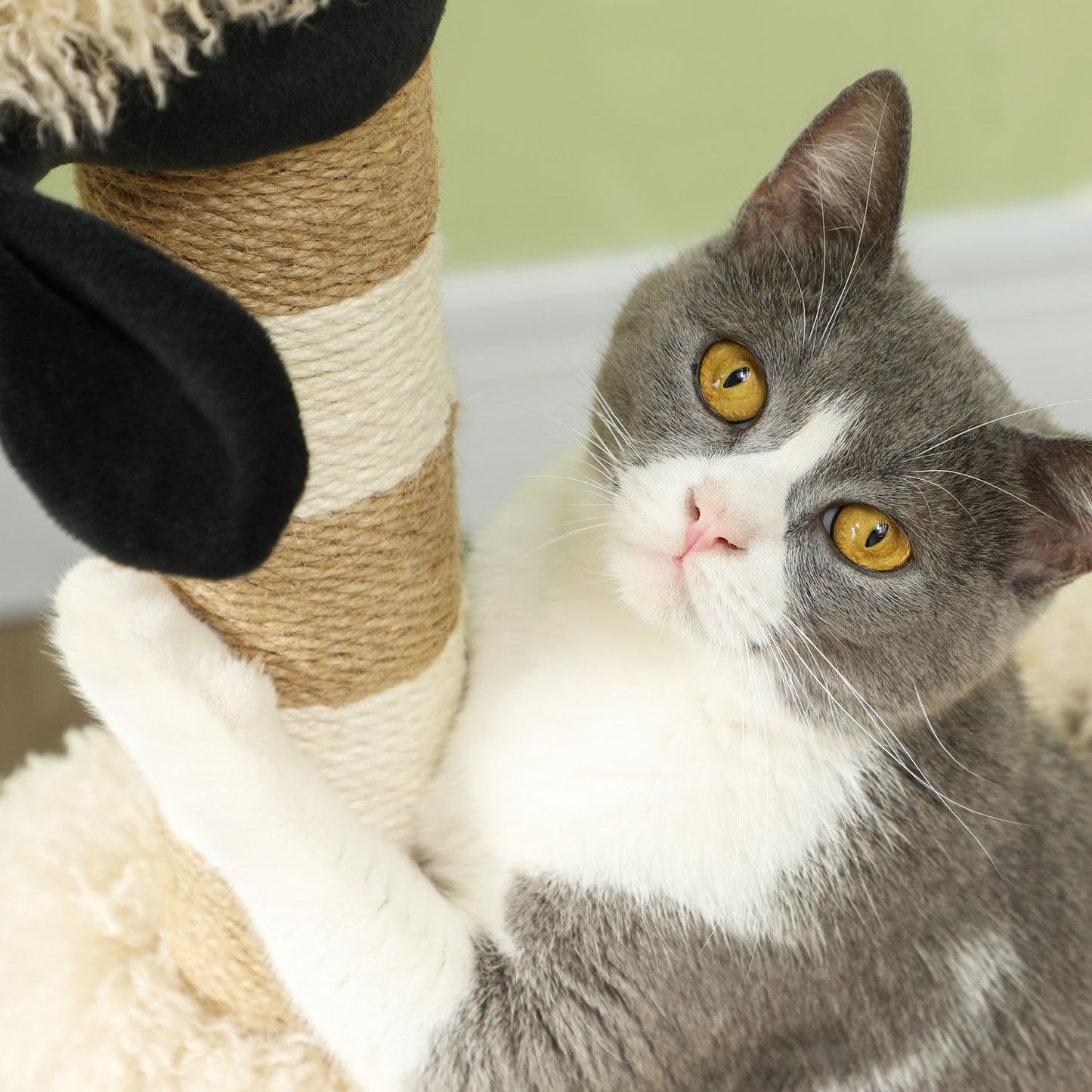 Cat tree with scratching post, tunnel, for cats up to 5 kg