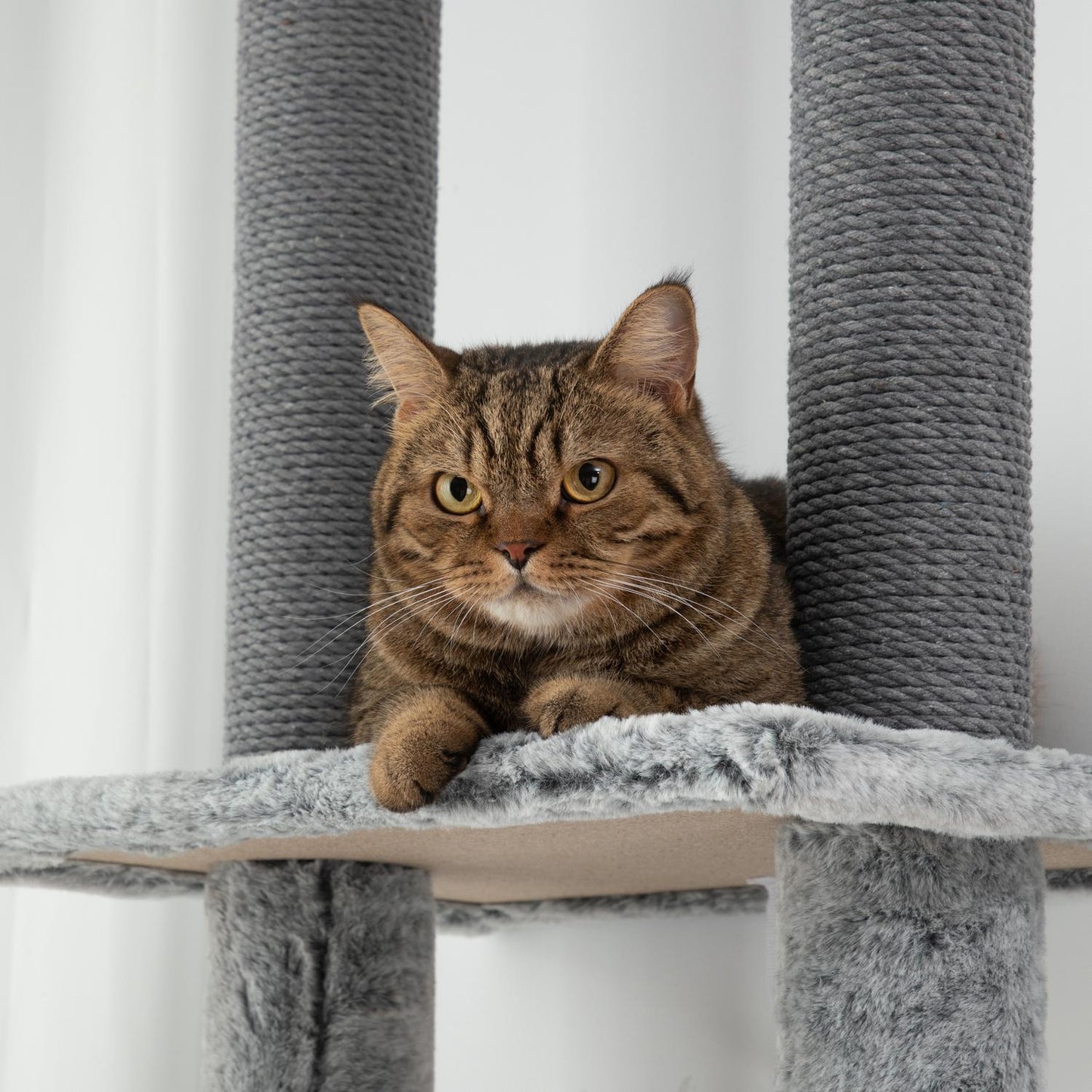 High-ceilinged cat tree with cave, basket and play ball, gray