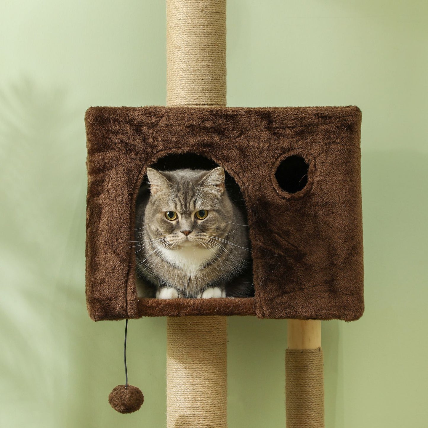 Ceiling-high cat tree with cave & play ball 225-265cm