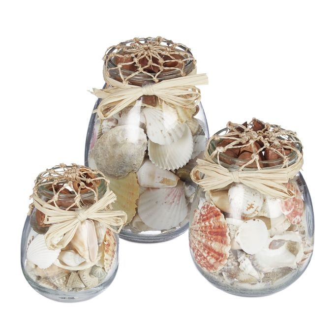Seashell Jar Set of 3