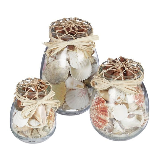 Seashell Jar Set of 3