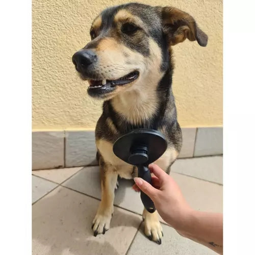 Self-cleaning fur brush