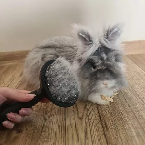 Self-cleaning fur brush
