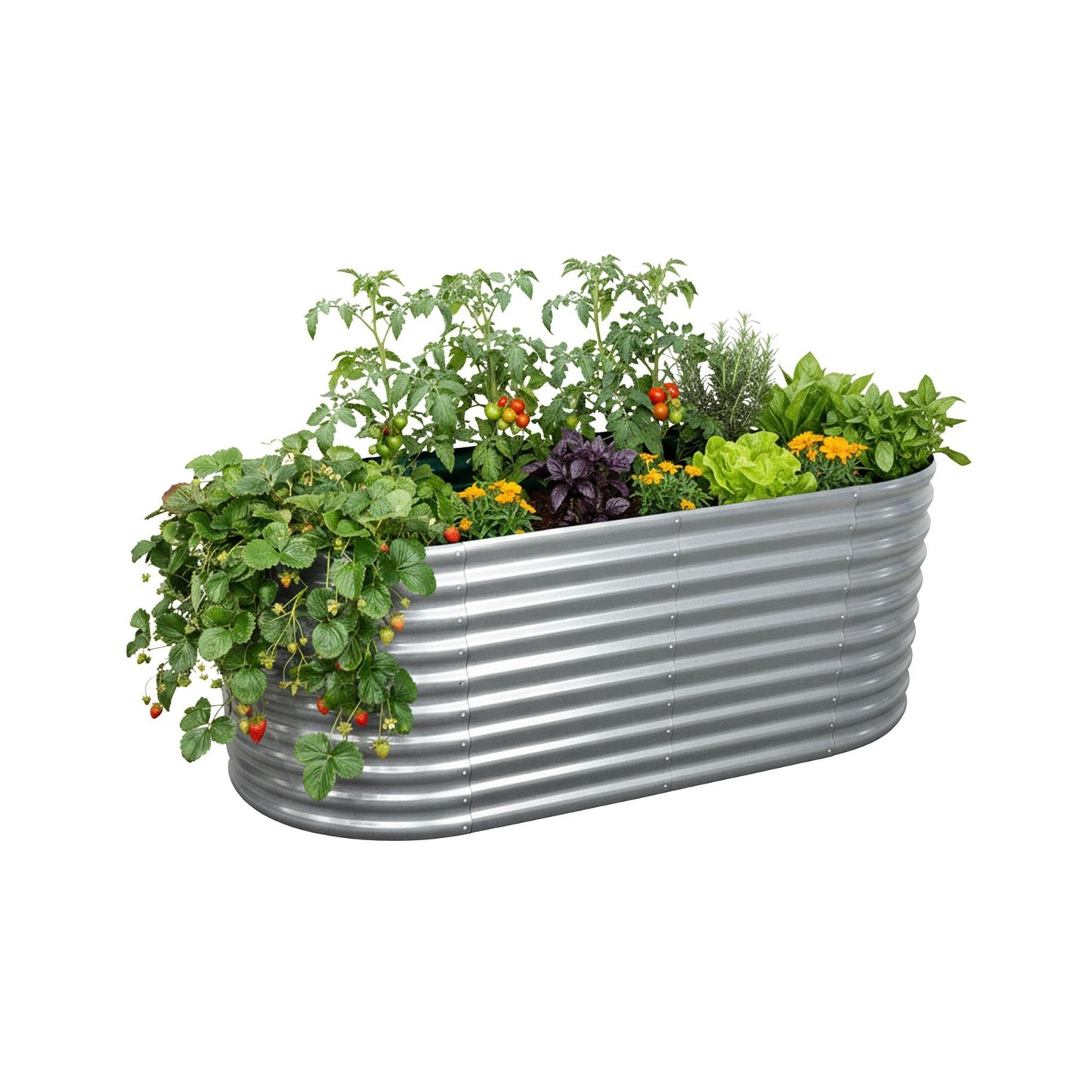 Semi-Circular Galvanized Steel Raised Garden Bed