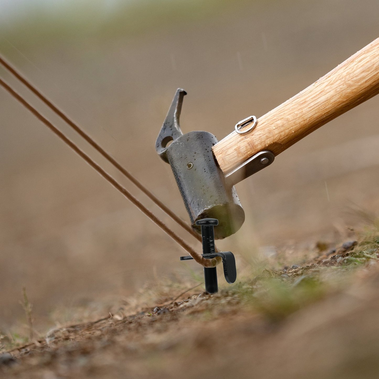 Set of 12 Tent Pegs