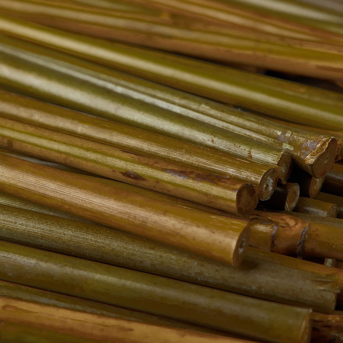 Set of 200 Bamboo Sticks 10 cm